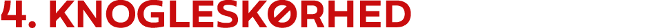 4. Knoglesk rhed